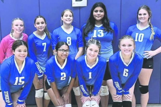 ROCKDALE LADY TIGERS VOLLEYBALL