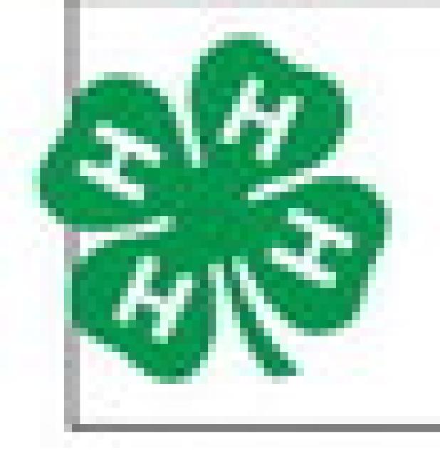 Discover your place in Milam County 4-H