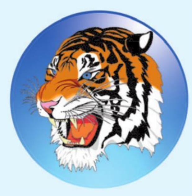 ROCKDALE SUMMER SPORT CAMPS