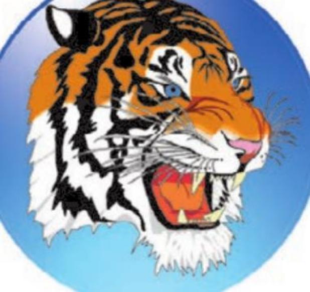 Blue-and-Gold fall short in Academy, 21-14