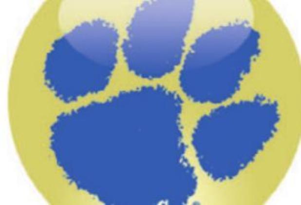 Lady Tigers lose on visit to Savio