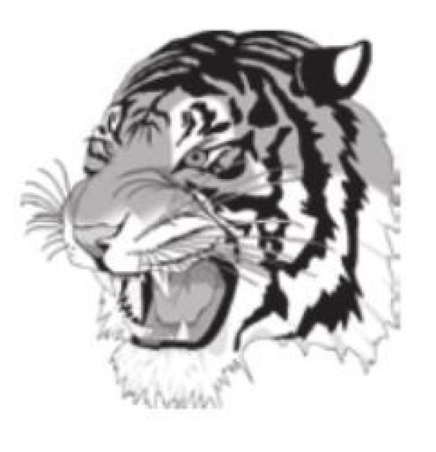 RHS boys soccer team 2-0 on the road