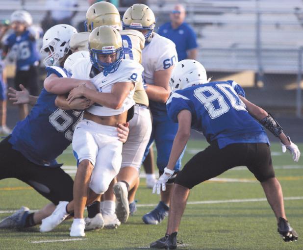 Cat fight: Tigers scrimmage Cougars