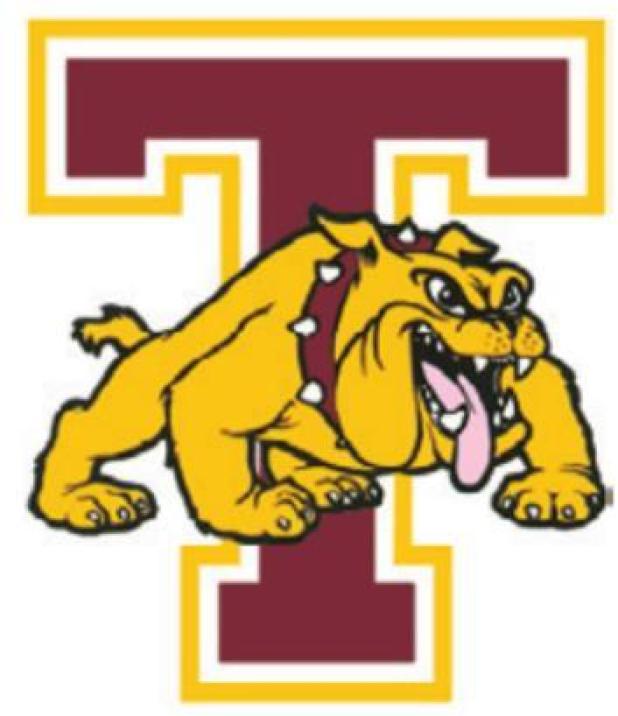 Thorndale falls short of state tourney