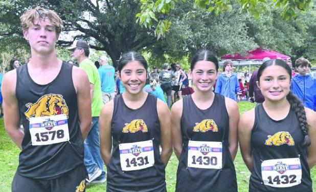 THORNDALE CROSS COUNTRY