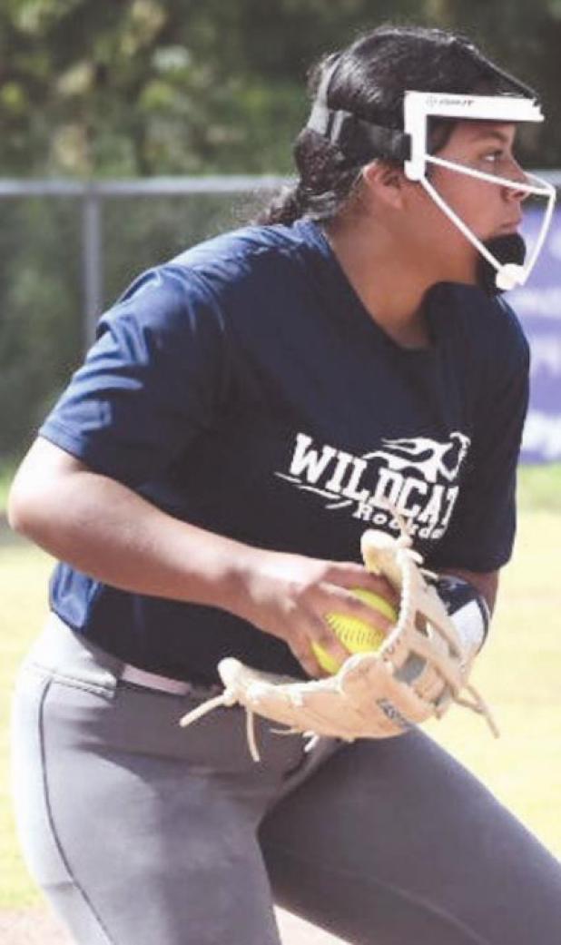 Wildcats make elite eight at state