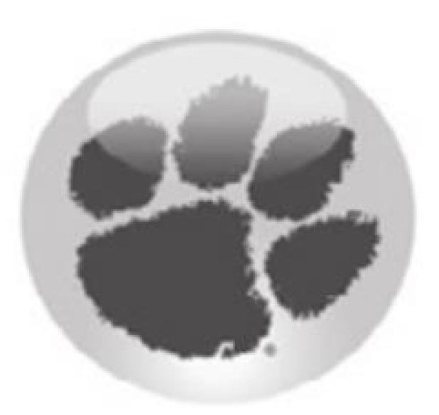 Lady Tigers fall to Lady Panthers 
