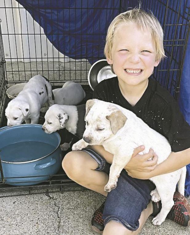 CUTENESS OVERLOAD