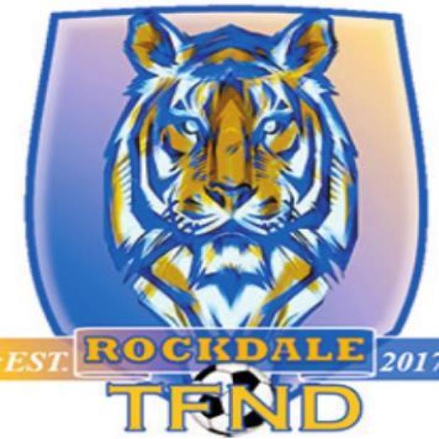 Tigers defeat Robinson 2-1