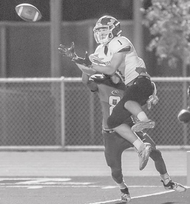 Thorndale comeback falls short in playoffs