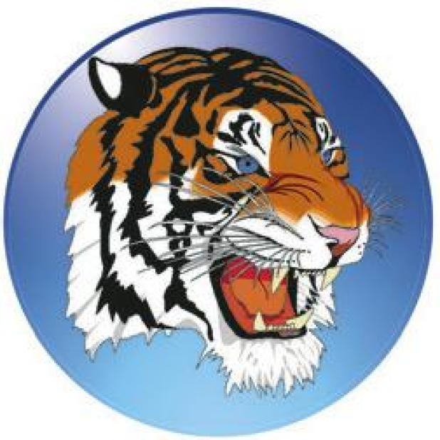 Rockdale athletes earn all-state honors