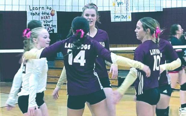 THORNDALE LADY DOGS VOLLEYBALL