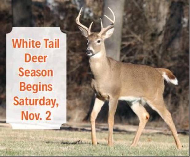 Favorable hunting season ahead