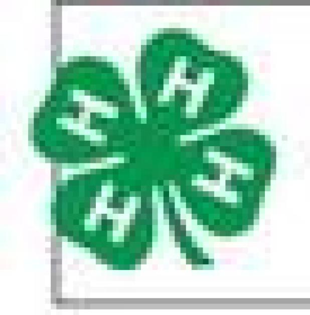 Milam County 4-H’ers successful at stock shows