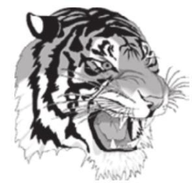 JUNIOR HIGH HOOPS THIS WEEK
