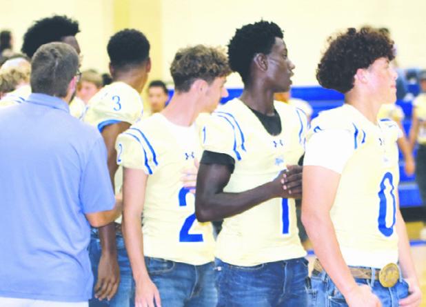 MEET THE TIGERS