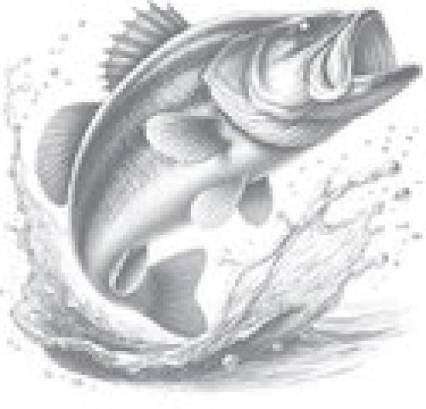 TEXAS PARKS & WILDLIFE FISHING REPORT