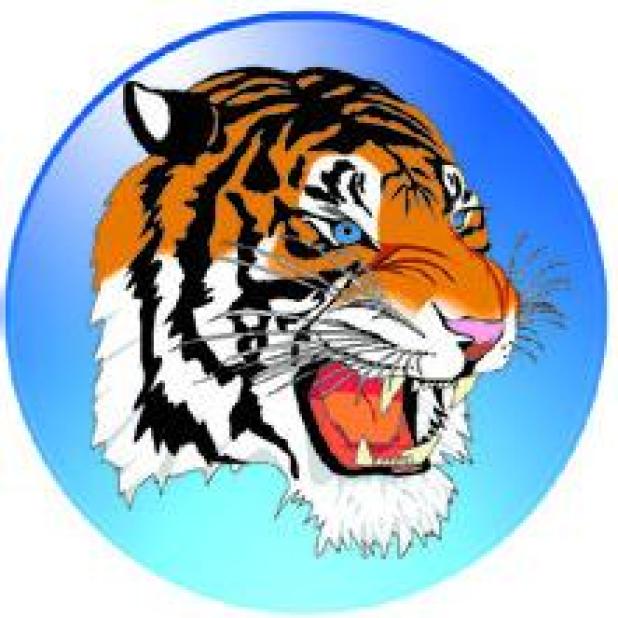 ‘Meet the Tigers’ set for August 5th