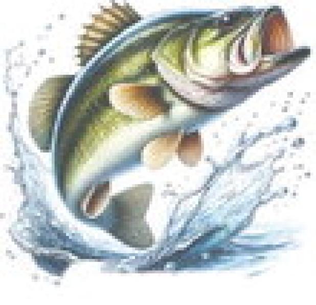 TP&W FISHING REPORT