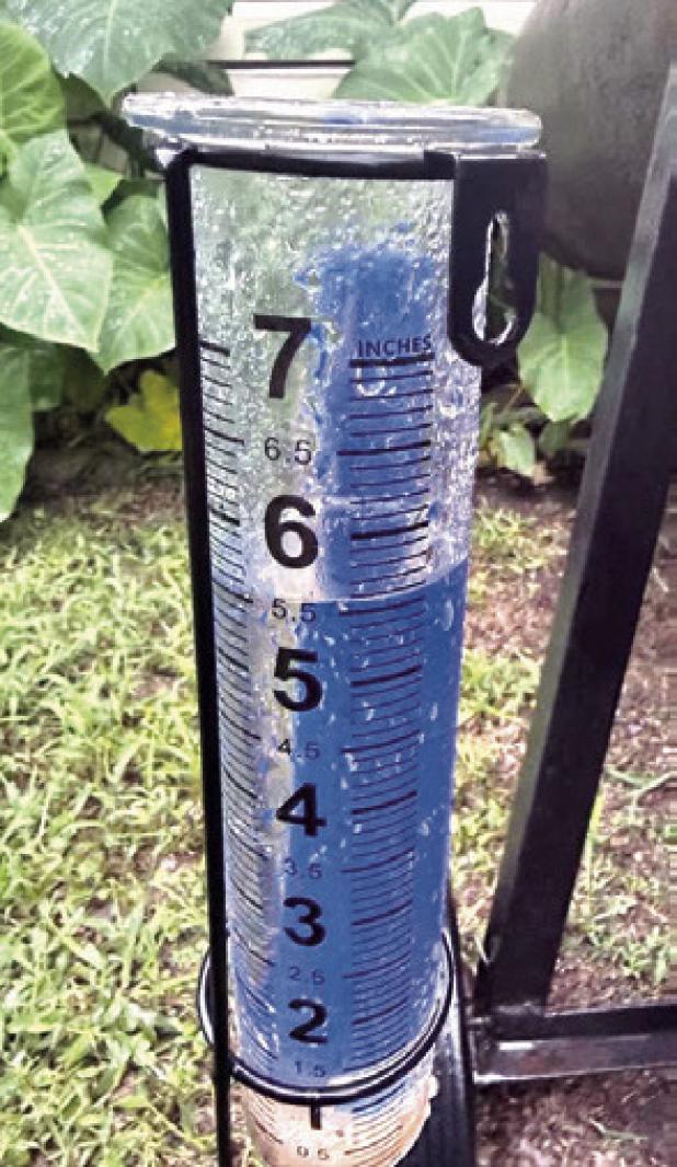 David Taylor of Rockdale sent in this photo of his rain gauge on Monday, which received 5.5 inches with weekend showers.