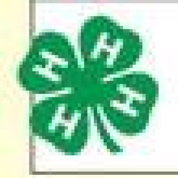 Time is running out for 4-H giveaway to stock your freezer