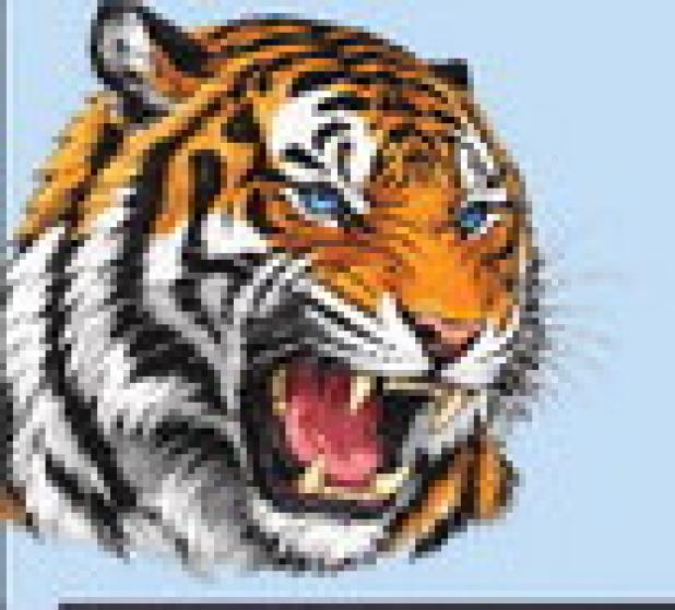 Meet the Tigers