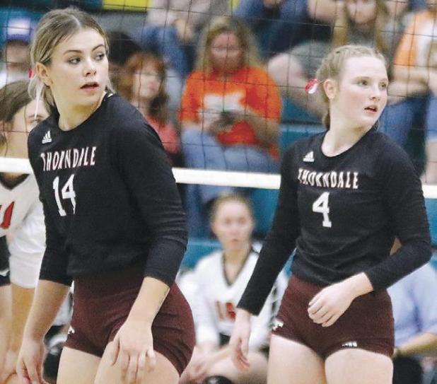 Lady Dogs fall short to Schulenburg