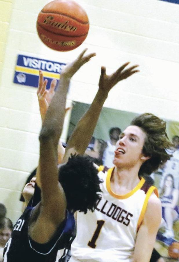 Bulldogs, Eagles both win big in area championships