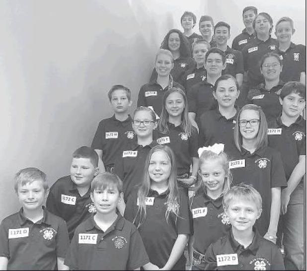 Photo courtesy Milam County 4-H                      