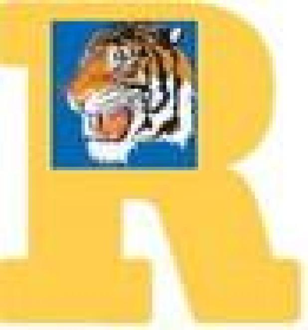 ROCKDALE HIGH SCHOOL TRACK