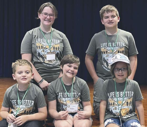 4-H record book awards