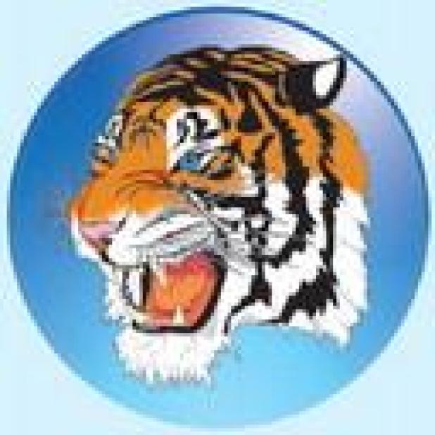 Lady Tigers go 6-2 at the Jewett-Leon Tournament