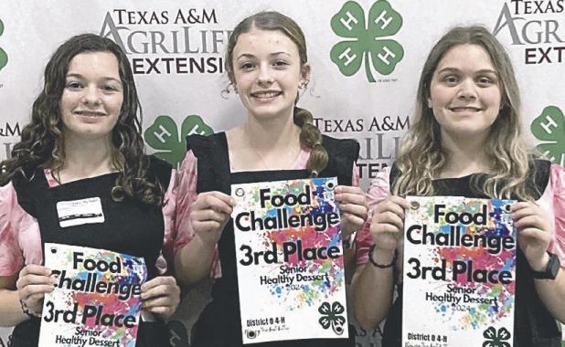 FOOD CHALLENGE