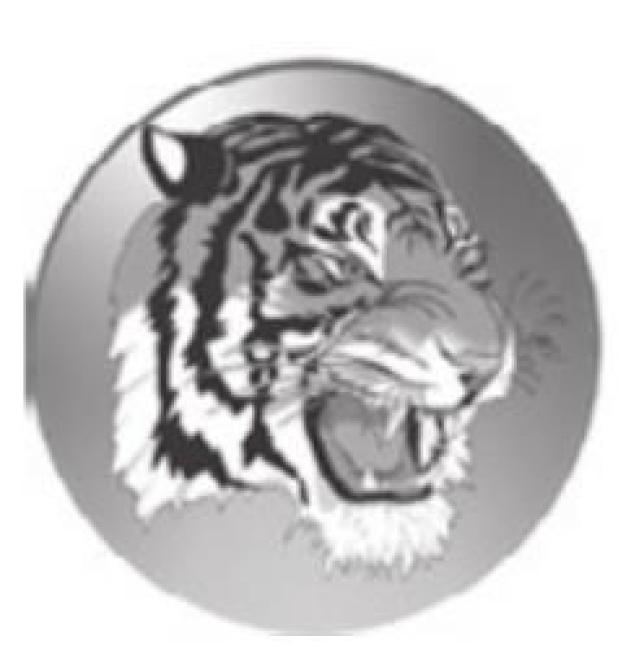 Rockdale Tigers heading