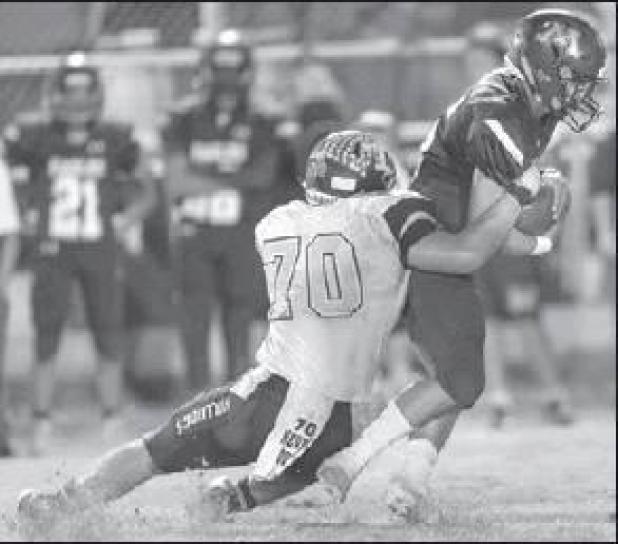 Bulldogs 48, Eagles 16