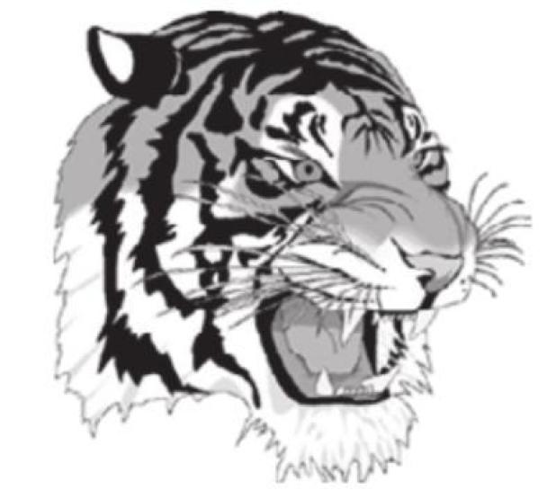 JUNIOR HIGH HOOPS THIS WEEK