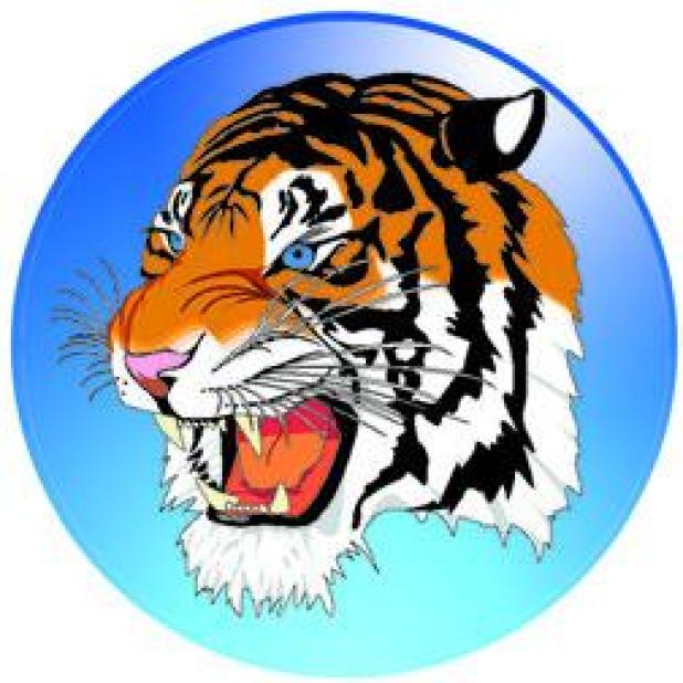 THURSDAY’S TIGER FOOTBALL