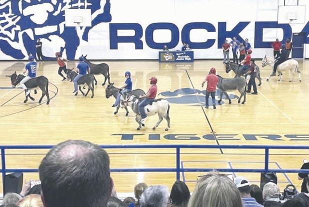 DONKEY BASKETBALL