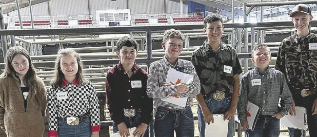 4-H HORSE JUDGING