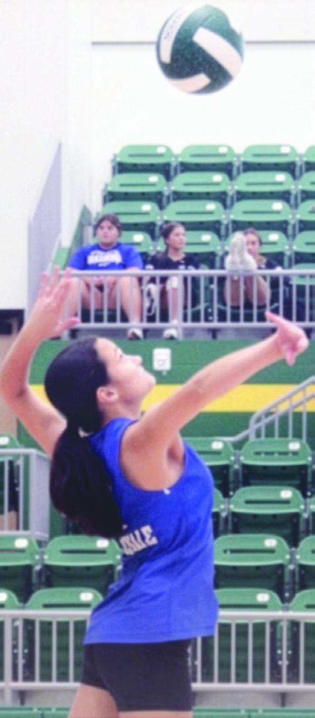 ROCKDALE VOLLEYBALL