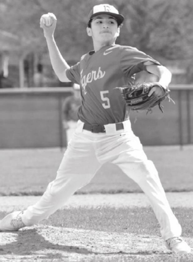 Tigers beat Hornets 4-2