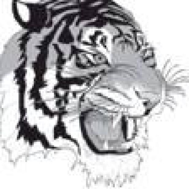 Tigers struggle against stiff competition in Schulenburg