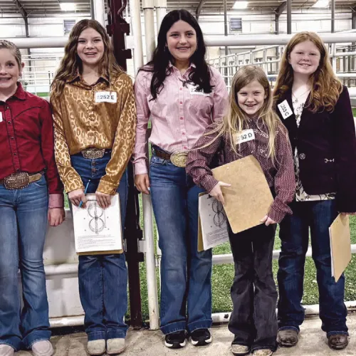 HORSE JUDGING