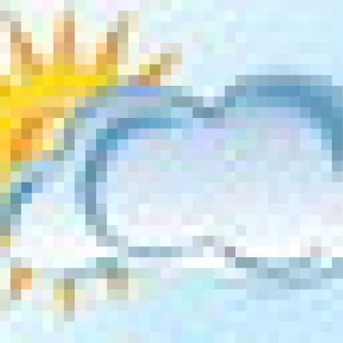 Alt Text for Image