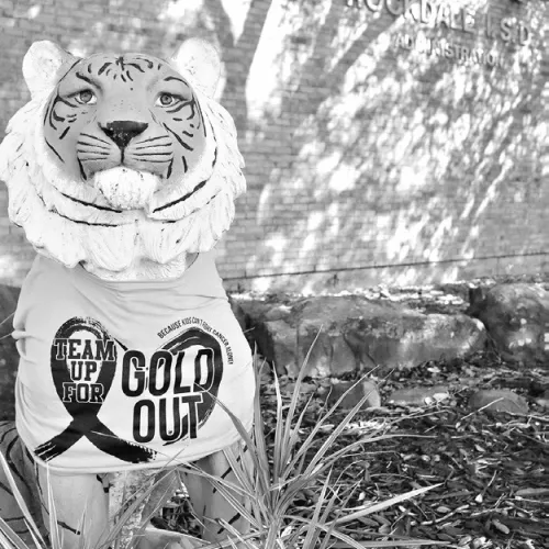 Childhood Cancer