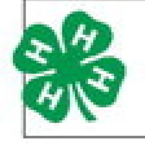 4-H shines in Leon County