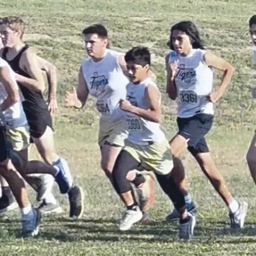 Rockdale Tigers Athletics photos