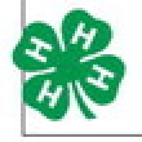 Discover your place in Milam County 4-H