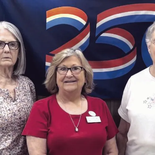 New DAR officers