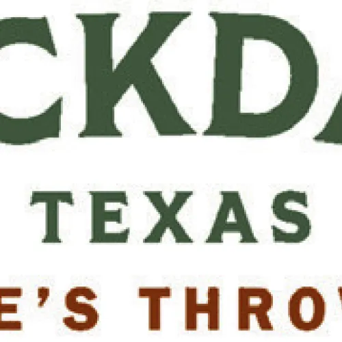 Alt Text for Image